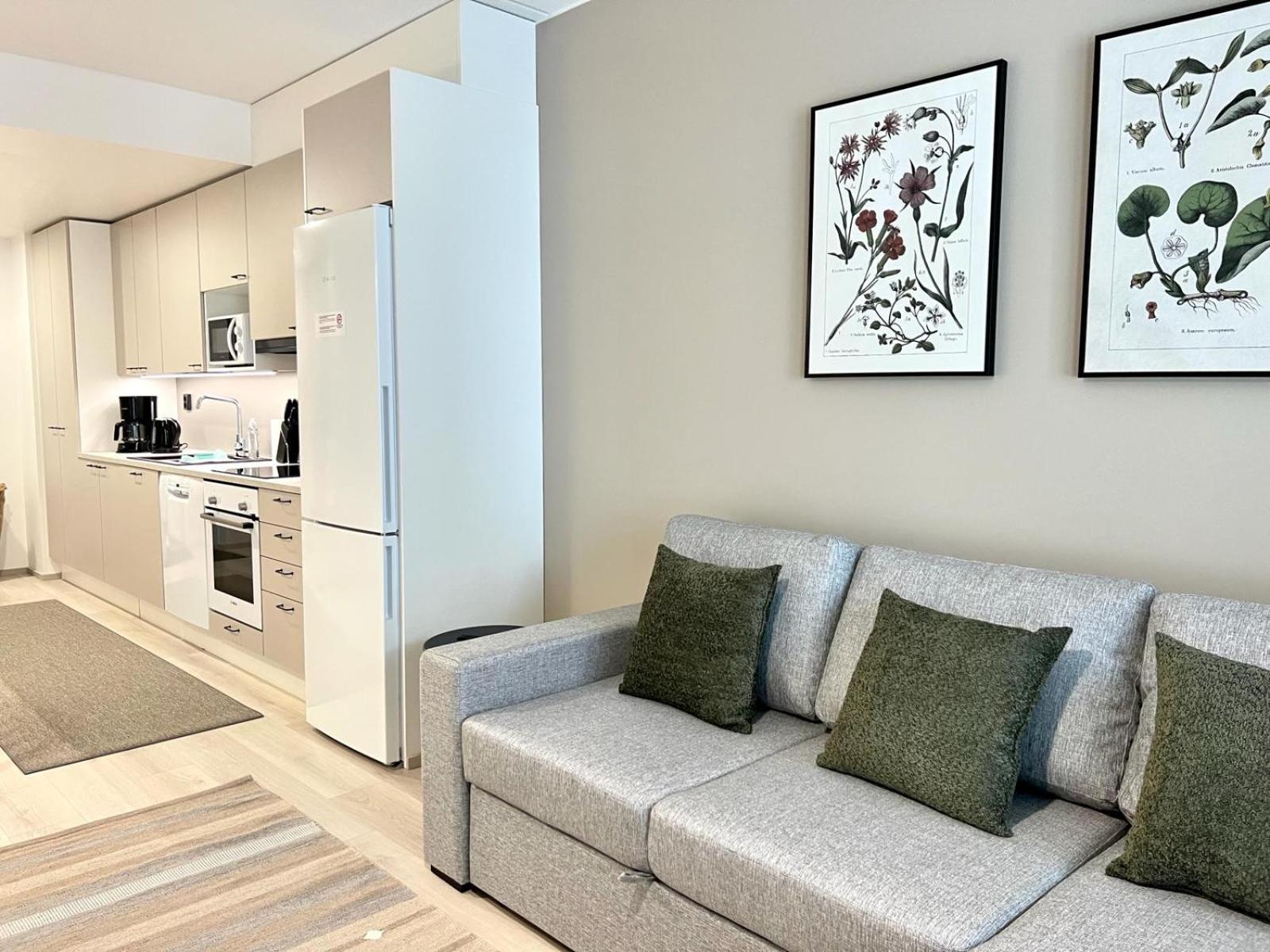 אולו Kotimaailma Apartments Tervapaeaesky I מראה חיצוני תמונה